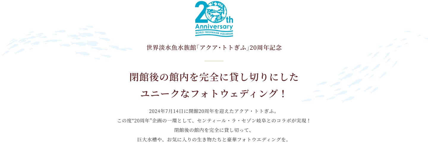 閉館後の館内を完全に貸し切りにしたユニークなフォトウェディング！ 2024年7月14日に開館20周年を迎えたアクア・トトぎふ。この度“20周年”企画の一環として、センティール・ラ・セゾン岐阜とのコラボが実現！閉館後の館内を完全に貸し切って、巨大水槽や、お気に入りの生き物たちと豪華フォトウエディングを。